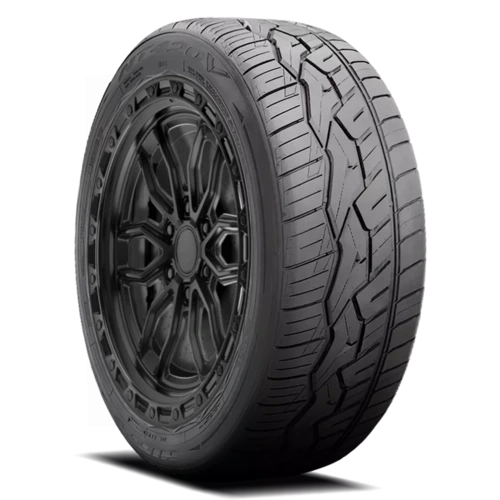 Nitto NT420V